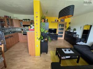 Prodej bytu 3+1, Teplice - Trnovany, Trnovanská, 70 m2