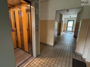 Prodej bytu 3+1, Teplice - Trnovany, Trnovanská, 70 m2