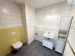 Pronájem bytu 2+kk, Brno - Trnitá, Přízova, 52 m2