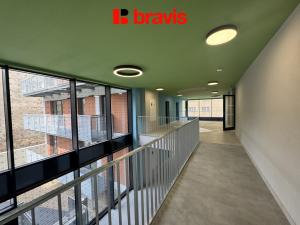 Prodej bytu 2+kk, Brno, Auerswaldova, 49 m2