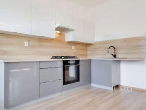 Prodej rodinného domu, Krupka, Mánesova, 162 m2