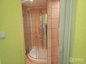 Pronájem bytu 1+1, Sokolov, Spartakiádní, 40 m2