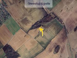 Prodej louky, Horní Moštěnice, 878 m2