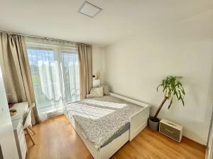 Prodej bytu 2+1, Nová Ves, Nad Obcí, 49 m2