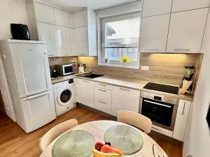 Prodej bytu 2+1, Nová Ves, Nad Obcí, 49 m2