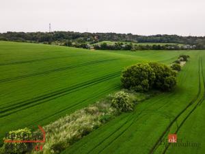 Prodej pole, Prostějov - Držovice, 12510 m2