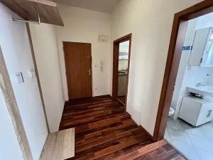 Pronájem bytu 1+1, Karlík, K Třešňovce, 42 m2