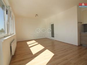 Pronájem bytu 1+kk, Praha - Žižkov, Za Vackovem, 36 m2