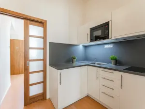 Pronájem bytu 1+kk, Praha - Žižkov, Chlumova, 35 m2