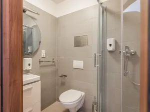 Pronájem bytu 1+kk, Praha - Žižkov, Chlumova, 35 m2