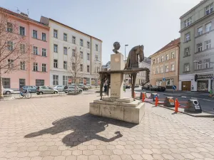 Pronájem bytu 1+kk, Praha - Žižkov, Chlumova, 35 m2