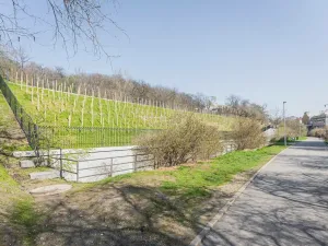 Pronájem bytu 1+kk, Praha - Žižkov, Chlumova, 35 m2