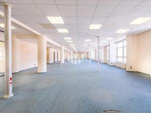 Pronájem kanceláře, Praha - Holešovice, Na Maninách, 6000 m2