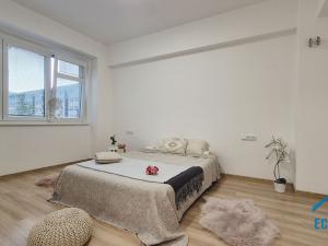 Prodej bytu 3+1, Praha - Vršovice, Vršovická, 77 m2