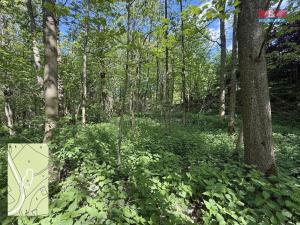 Prodej pozemku, Červená Voda - Horní Orlice, 424 m2