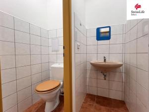 Pronájem kanceláře, Plzeň, Francouzská třída, 44 m2