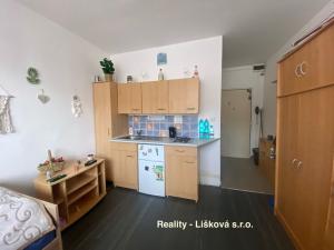 Prodej bytu 1+kk, Ústí nad Labem, SNP, 21 m2