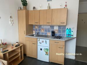 Prodej bytu 1+kk, Ústí nad Labem, SNP, 21 m2