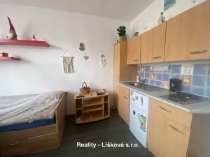 Prodej bytu 1+kk, Ústí nad Labem, SNP, 21 m2