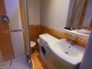 Prodej bytu 1+kk, Ústí nad Labem, SNP, 21 m2