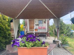 Prodej zahrady, Lednice, 2031 m2