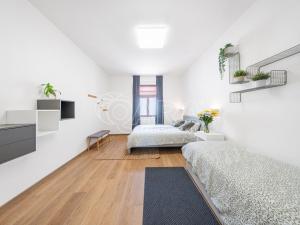 Pronájem bytu 1+kk, Praha - Žižkov, Milíčova, 33 m2