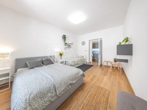 Pronájem bytu 1+kk, Praha - Žižkov, Milíčova, 33 m2