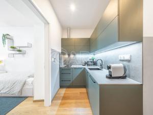 Pronájem bytu 1+kk, Praha - Žižkov, Milíčova, 33 m2