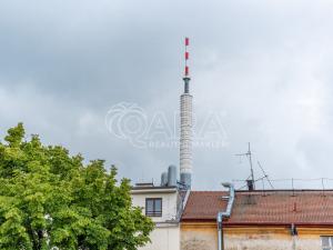 Pronájem bytu 1+kk, Praha - Žižkov, Milíčova, 33 m2
