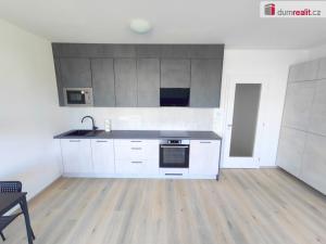 Pronájem bytu 1+kk, Praha - Žižkov, Olgy Havlové, 39 m2