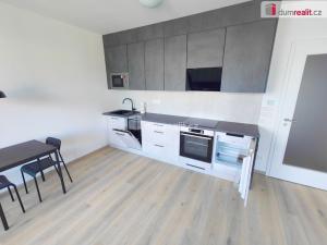 Pronájem bytu 1+kk, Praha - Žižkov, Olgy Havlové, 39 m2