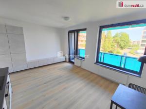 Pronájem bytu 1+kk, Praha - Žižkov, Olgy Havlové, 39 m2