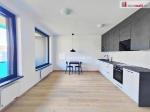Pronájem bytu 1+kk, Praha - Žižkov, Olgy Havlové, 39 m2