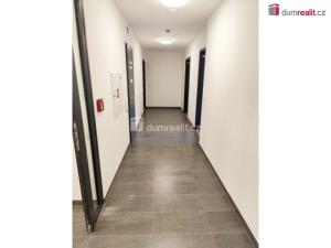 Pronájem bytu 1+kk, Praha - Žižkov, Olgy Havlové, 39 m2