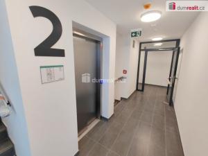 Pronájem bytu 1+kk, Praha - Žižkov, Olgy Havlové, 39 m2