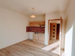 Pronájem bytu 1+kk, Ústí nad Labem - Ústí nad Labem-centrum, Stará, 20 m2