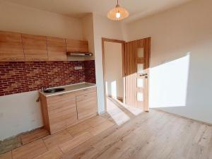 Pronájem bytu 1+kk, Ústí nad Labem - Ústí nad Labem-centrum, Stará, 20 m2