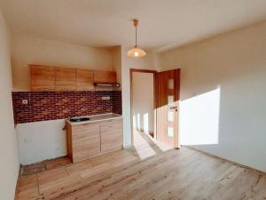 Pronájem bytu 1+kk, Ústí nad Labem - Ústí nad Labem-centrum, Stará, 20 m2