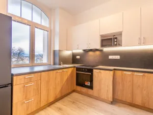 Prodej činžovního domu, Ústí nad Labem - Střekov, Žukovova, 744 m2