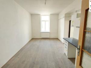 Pronájem bytu 1+1, Cheb, Evropská, 48 m2