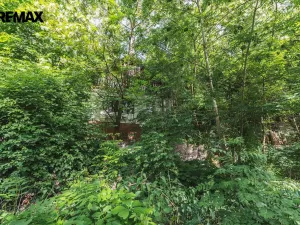 Prodej chaty, Zdiby - Brnky, Vltavská, 130 m2