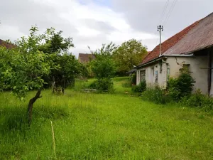 Prodej zemědělské usedlosti, Černíkovice, 80 m2