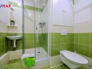 Prodej bytu 1+1, Vítkov, Wolkerova, 38 m2