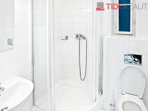 Pronájem bytu 5+1, Praha - Dejvice, Jaselská, 250 m2