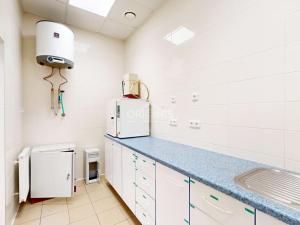Pronájem obchodního prostoru, Hora Svatého Šebestiána, 72 m2