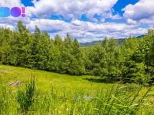 Prodej pozemku pro bydlení, Mosty u Jablunkova, 5690 m2