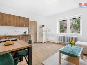 Pronájem bytu 1+kk, Plazy, 24 m2
