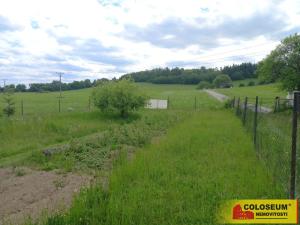 Prodej pozemku pro bydlení, Olešnice, 990 m2
