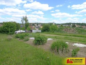 Prodej pozemku pro bydlení, Olešnice, 990 m2