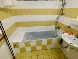 Prodej bytu 2+1, Praha - Krč, Kremličkova, 65 m2